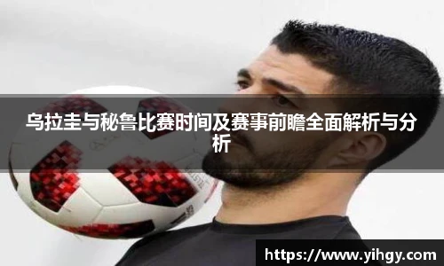 zoty中欧